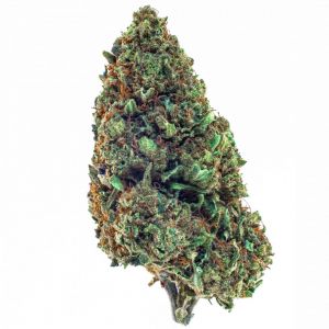 SUPER SKUNK