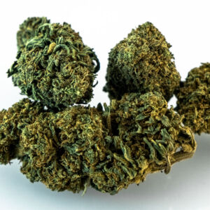 GORILLA GLUE