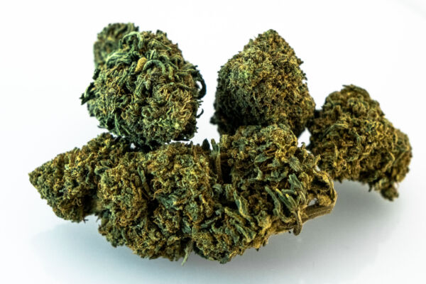 GORILLA GLUE