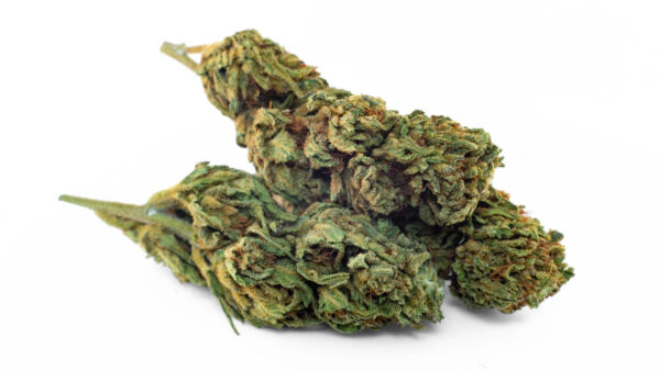 CHEESE CANDY