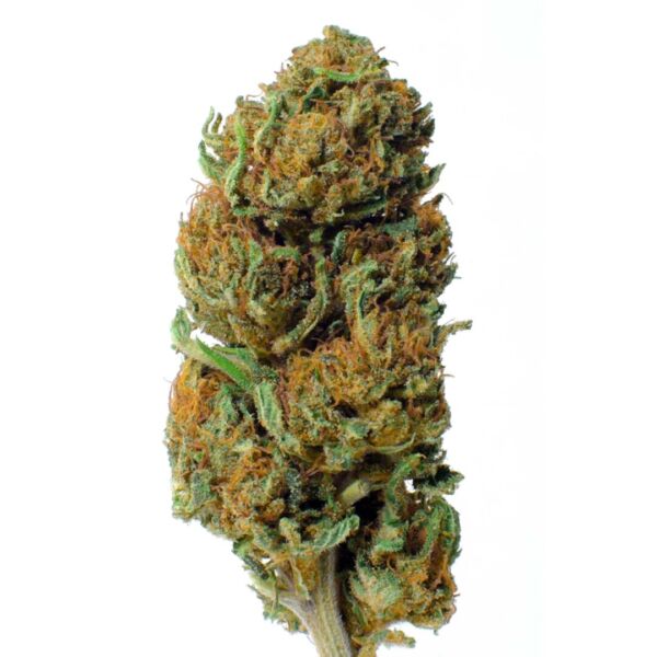 LEMON HAZE - immagine 3