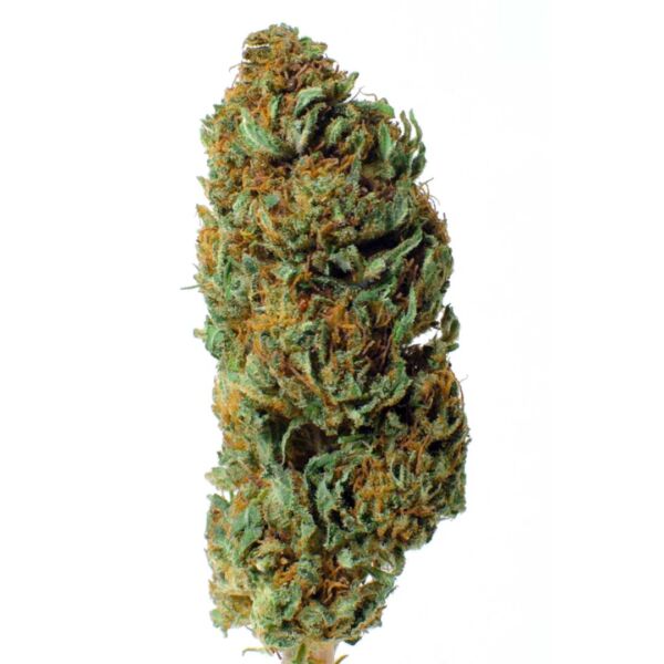 LEMON HAZE - immagine 2