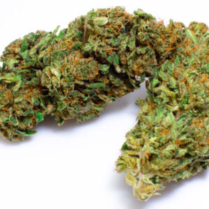 WHITE WIDOW (UBI MAIOR)