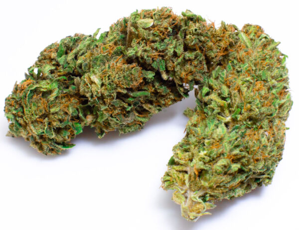 WHITE WIDOW (UBI MAIOR)