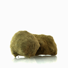 MOON ROCK (Cupio Dissolvi)