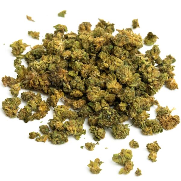 MINI BUDS (Selecta) - immagine 2