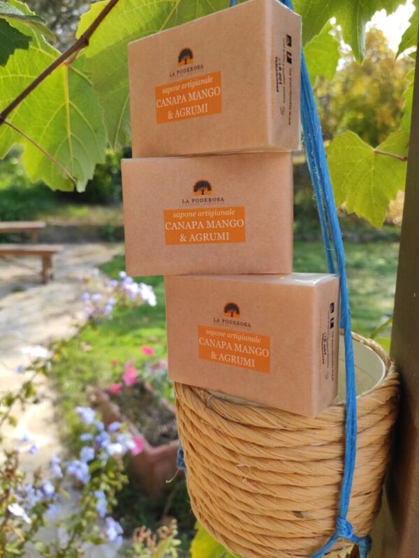 Sapone Mango Agrumi Canapa