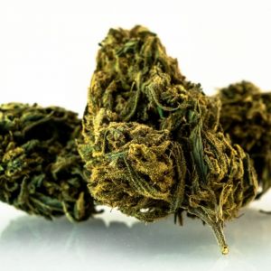 AMNESIA HAZE