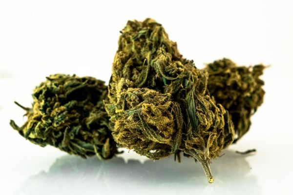 AMNESIA HAZE